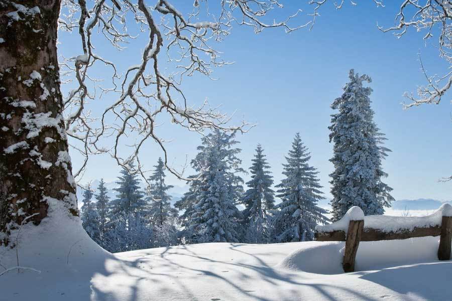 乐山非遗项, 价达, 打造沉浸式 乐山非遗项, 价达, 打造沉浸式